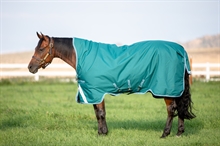 Amigo Bravo 12 Wug medium winterdeken 250 gram